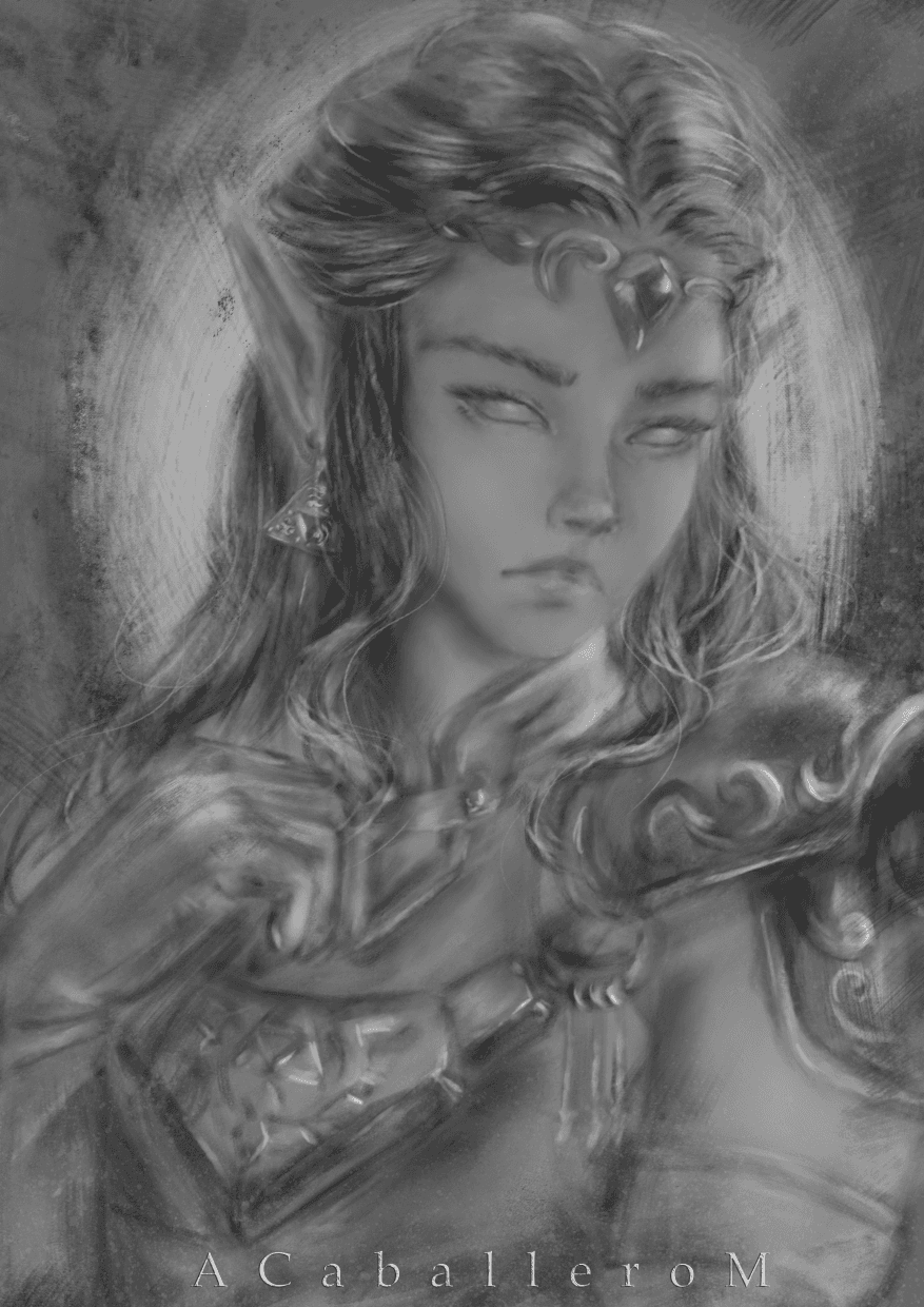 Zelda black and white version