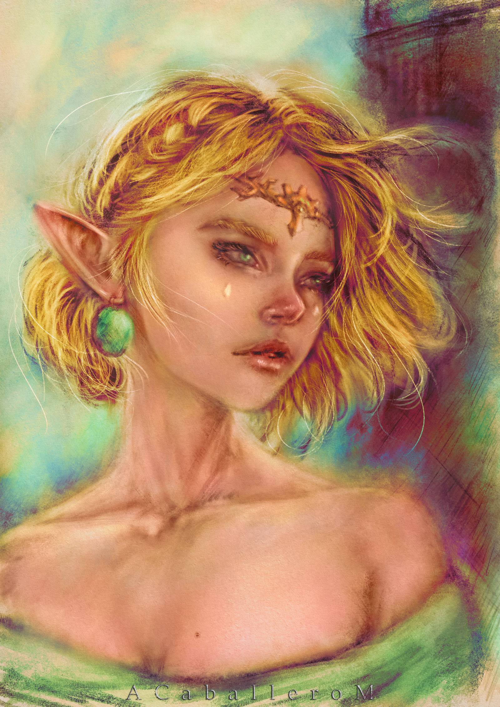 The Elf Princess